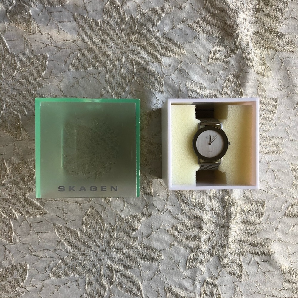 32mm Stainless Steel Skagen Watch